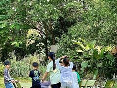 -芭厘农庄老字号·清远鸡