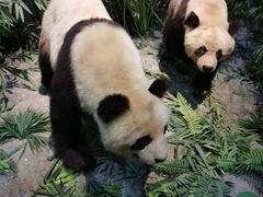 -长江文明馆