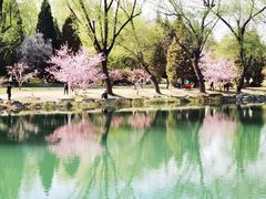 -颐和园