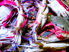 -巽寮印象美食部落餐厅·海鲜·地方特色菜(惠州体验店)