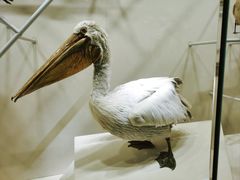 -中国湿地博物馆