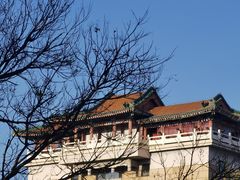 -莲花池公园