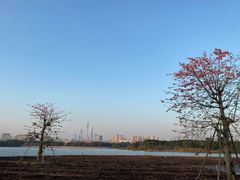-海珠湖公园