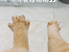 -藏猫猫咖啡主题馆(中央大道店)