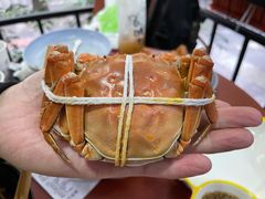 -黄记大闸蟹专卖店·活蟹·醉蟹