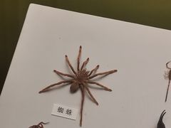 -天津自然博物馆
