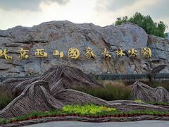 -北京西山国家森林公园