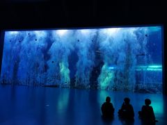 -哈尔滨波塞冬海底世界