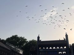 -北京国子监胡同