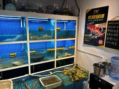 -金龙·打边炉(南京西路店)