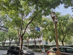 -燕风楼烤鸭店(建设总店)