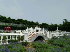-广州花之恋城堡酒店