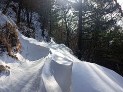 -终南山国家森林公园