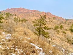 -红山国家森林公园