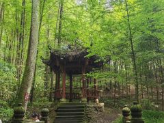 -凤栖山