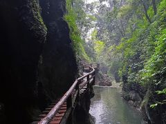 -青城山