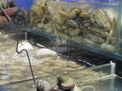 -苏格里岛自助烤肉海鲜火锅(成都金牛万达店)