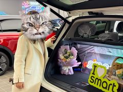 -上海浦东smart汽车全功能店(金桥店)