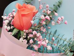 -秦美花卉(天朗·莱茵小城2期店)