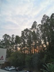 -禧月荟·爱丽馨月子中心(山庄店)
