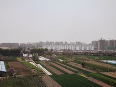 -商丘站