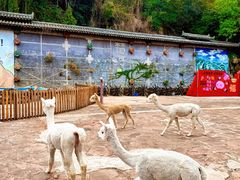 -昆明青龙峡风景区
