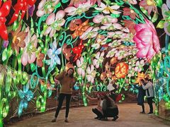 -欢乐海岸水秀剧场