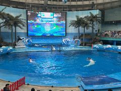 -海合安成都极地海洋公园