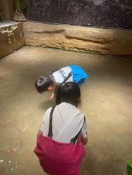 -造物庄园 萌宠纪(苏州湾歌林公园店)