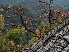 -天姥山景区