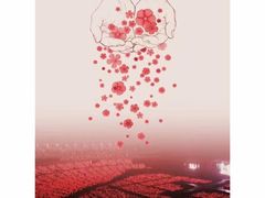 -南京奥林匹克体育中心-体育馆