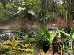-呀路古热带植物园
