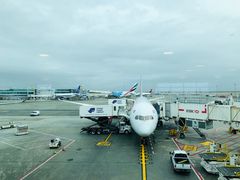 -约翰·菲茨杰拉德·肯尼迪国际机场