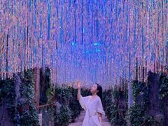 -正佳雨林生态植物园