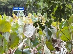 -洛阳市隋唐城遗址植物园