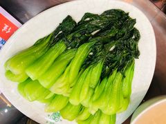 -清真·益鑫羊肉手抓馆(花园北街店)