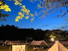 -宜兴龙背山森林公园