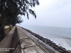 -东郊椰林