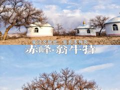 -玉龙沙湖景区