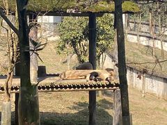 -碧峰峡风景区