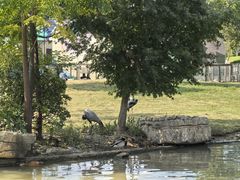 -祥源·阜阳生态乐园