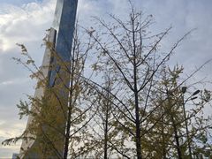 -长沙滨江文化园