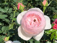 -人民公园(罗湖区)