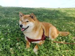 -钟山体育运动公园