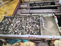 -罗源湾8号渔排