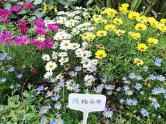 -东莞植物园