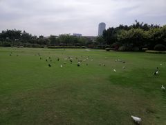 -白鹭洲公园
