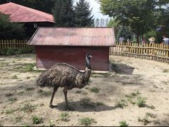 -哈尔滨北方森林动物园