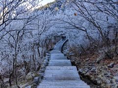 -黄山风景区