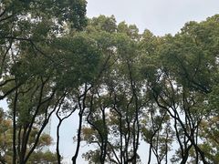 -天一阁博物院